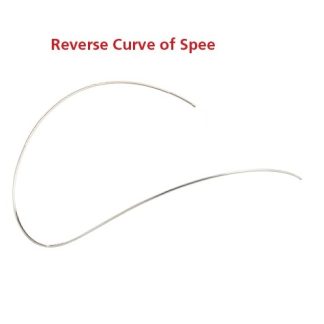 TrueFlex Nickel Titanium - Reverse Curve of Spee